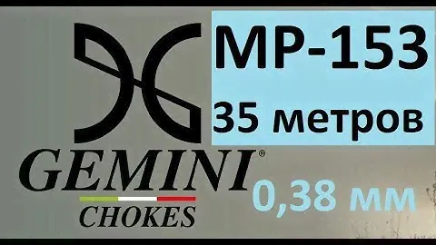 Gemini 0, 015 (0,38мм) и чок 1,0 МР 153.  35 метров.